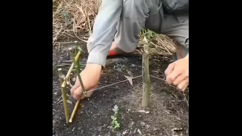 Хорошо придумано