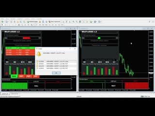 Winprofit80 v2 это грааль для бинарных опционов!