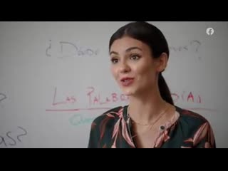 The real bros of simi valley