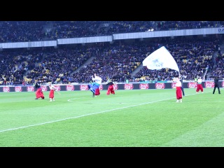 Показовий виступ міжнародної федерації бойового гопака на нск олімпійський київ