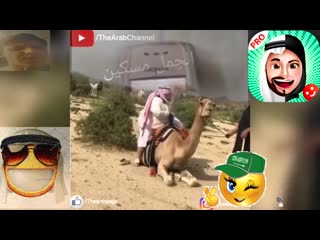 Free hindi gay يانا النسر البومة عليك اللعنةpopitmaka420 saudi funnyالشق المنجد والقرف