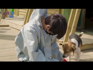 180418 snuper @ 'beagle rescue network' volunteer activity behind 2