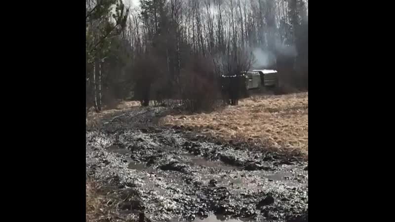 Витязь дт 30п