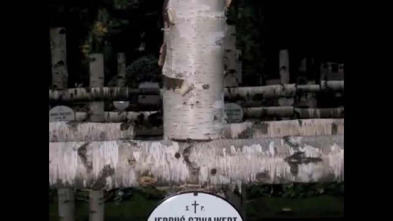 Orzeł biały natalia sikora powstanie warszawskie