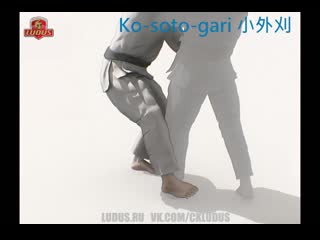 Ko soto gari (зацеп стопой)