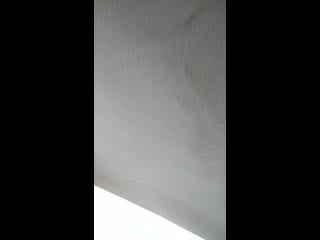 Тусич в машине 3🛣