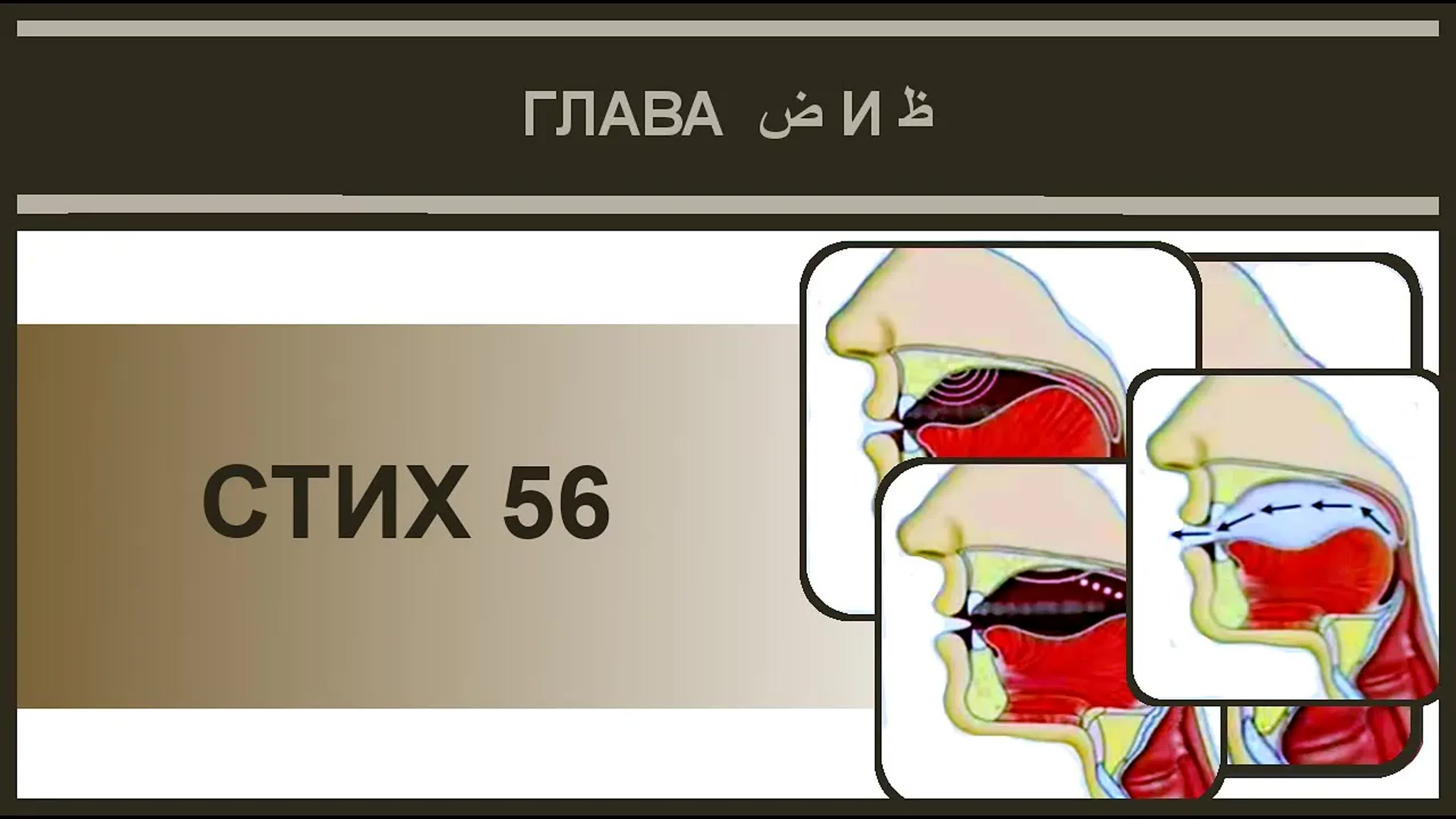 Айман сувейд 7 стих 56 (русские субтитры)