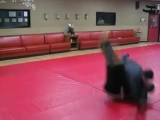 Goshin jujitsu self defense techniques