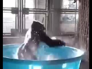 Аквадискотека