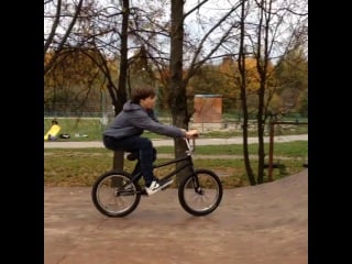 Double opo barspin and truck bar