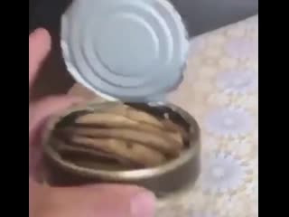 Жена открыла шпроты mp4