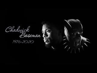 In loving memory of chadwick boseman