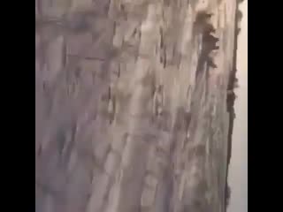 Hunting sakha 20210217 5 mp4