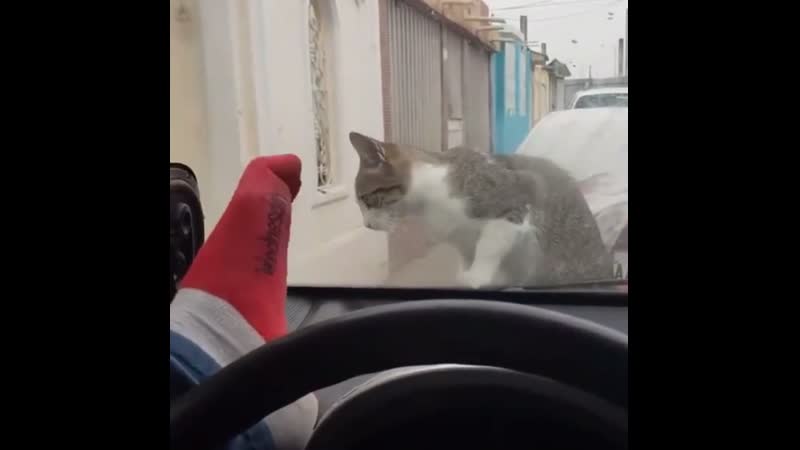 Предательский носок