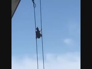 Миссия невыполнима енот (vhs video)