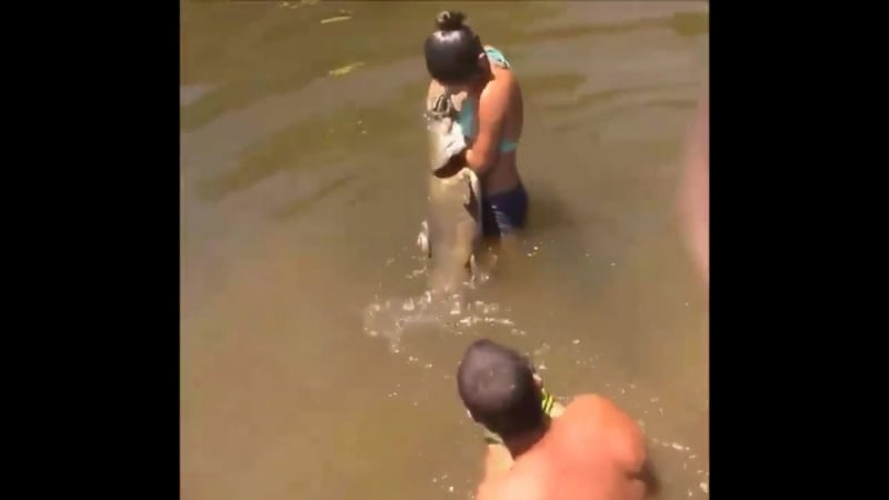 Ловля на живца