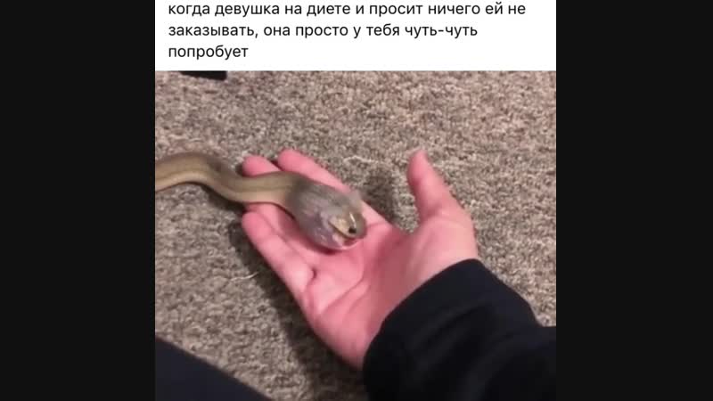 Девушка на диете