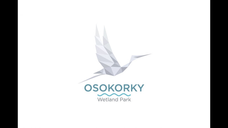 Титушки на экопарке осокорки