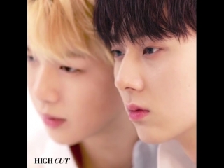 High cut (daniel and minhyun)