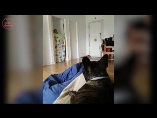 Best what the fluff challenge videos ever what the fluff challenge compilation! 😱😂 part 18