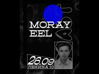 Moray eel @ toast (26 09)