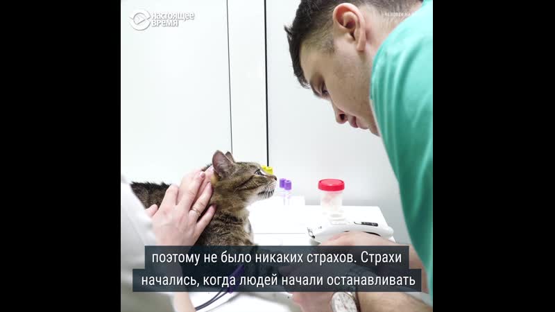 “человек на карте” ветеринар, который отказался усыплять молодые