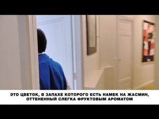 Kenzo takada one and only