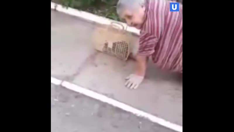 Бабушка инвалид в пермском крае поползла в магазин, так как волонтеры покупали ей не те продукты