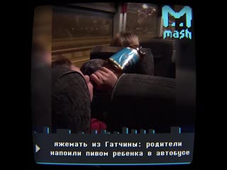 На автобусном маршруте в гатчину родители поят детей пивом