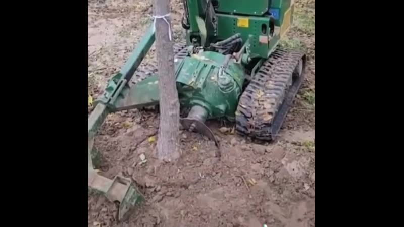 Машина для пересадки деревьев идеи для сада | дача | ландшафт| огород