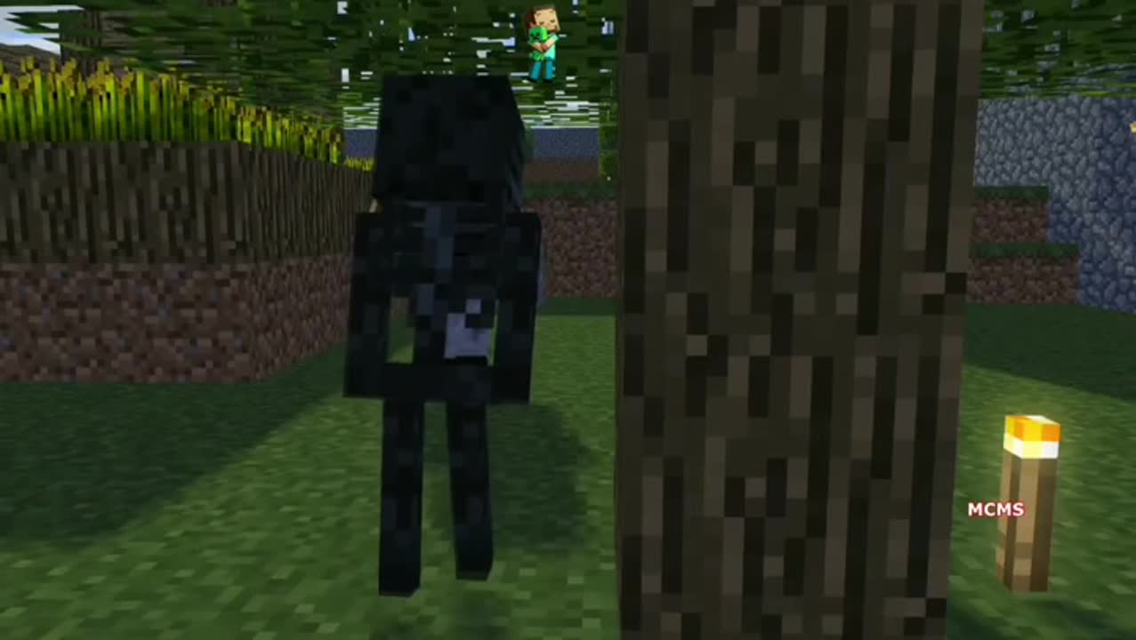 Wither skeleton life 2 best minecraft animation watch online