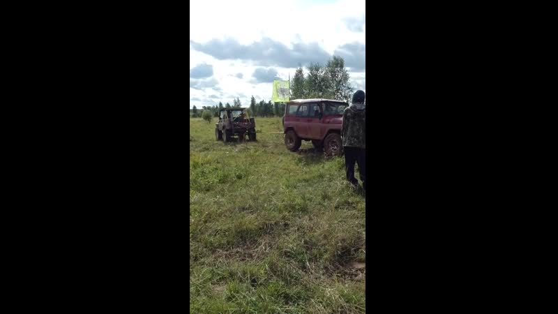 Тянем репку