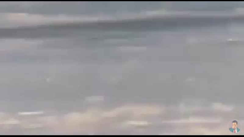 Видео от blau punkt
