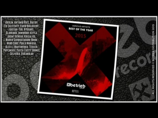 Various artists best of the year 2015 (promo) [betrieb records]