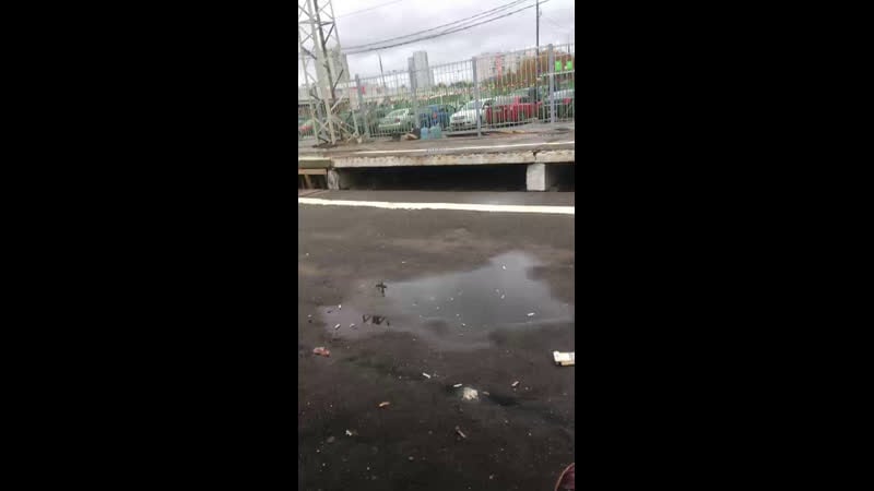 Live парады by makson