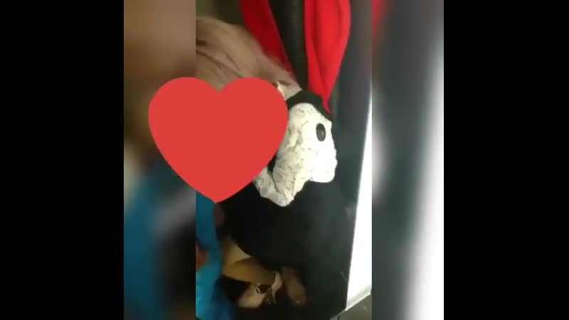 Порно секс школа помладше много годных видео в телеграме @mellfack