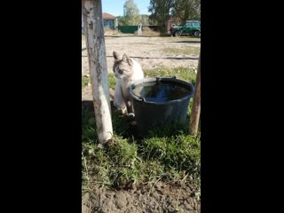 Vid 20200903 092156 mp4