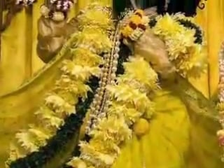 Jaya radha madhava