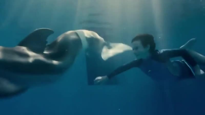 Огромный горбатый кит защитил дайвера от тигровой акулы