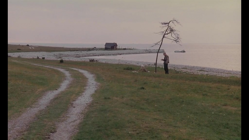 ◄offret(1986)жертвоприношение* тарковский