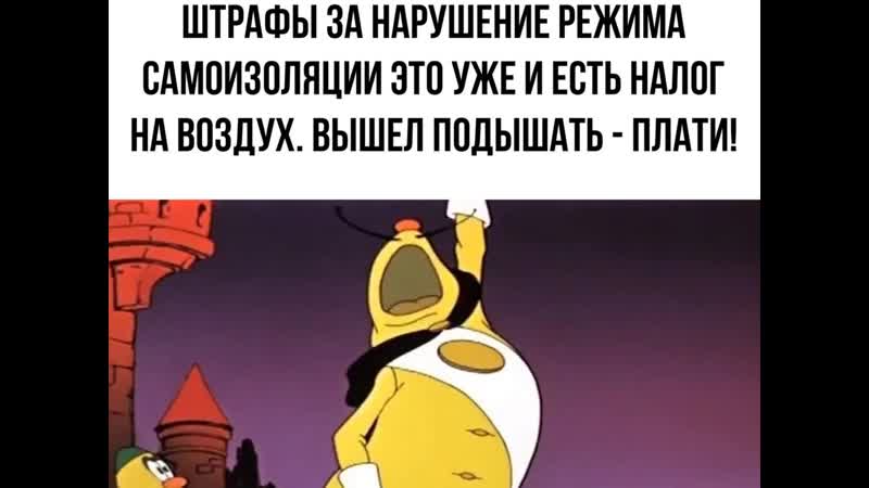 Налог на (чиполлино) ( 360 x 360 )