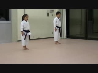 Хейан шодан годан and tekki shodan part 2 (jka mahiro masaki practice)