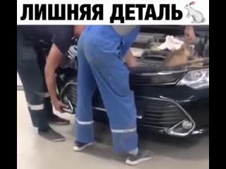 Зайцем катался