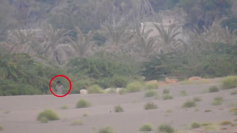 شاهد مصرع خامس قناص حوثي شرق الجاح بالحديدة خلال أيام