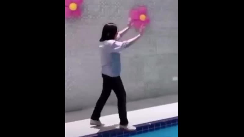 Яблоко от яблони