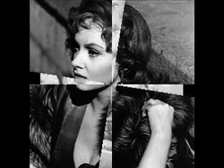 Gina lollobrigida (photos)