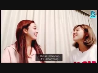 Jihyo unable to see the difference between chaeyeon and chaeryeong