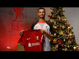 Cody gakpo agrees a contract to sign for liverpool fc