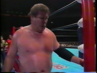 Terry gordy vs stan hansen