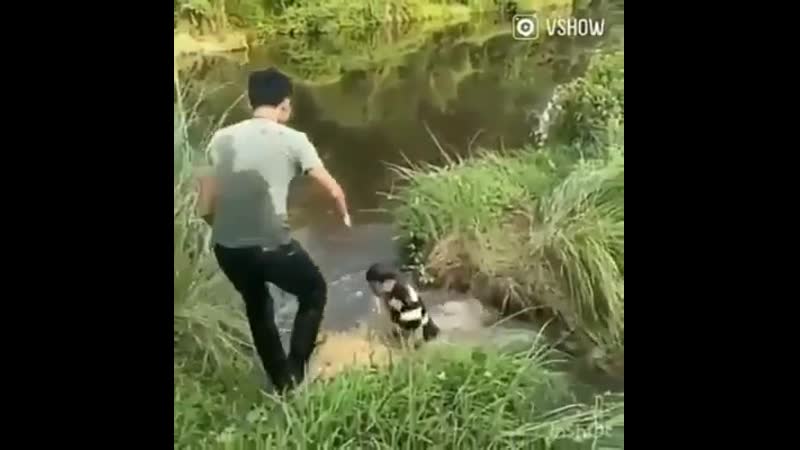 Своих в беду подставляем